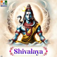 Vishnu - Shivalaya