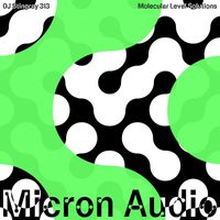 DJ Stingray 313 - Molecular Level Solutions
