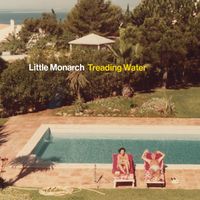 Little Monarch - Treading Water