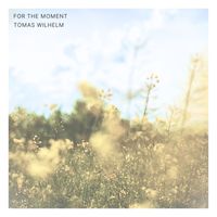 Tomas Wilhelm - For The Moment