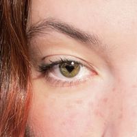 MELE - Der Blick / Dein Herz ist zu