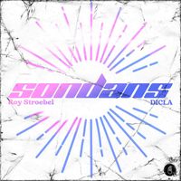 Roy Stroebel & DICLA - Sondans