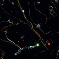 Zar - Rivulets