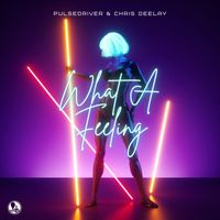 Pulsedriver, Chris Deelay - What A Feeling