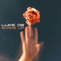 Luke DB - Shake Up
