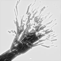 Gaszia - ApexClub (Remixes)