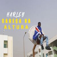 Harley - Cabeça na altura