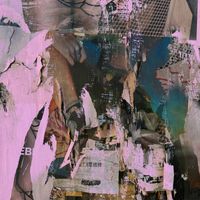Cereus Bright - Anything