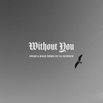 DJ Cam - Without You (Drum & Bass Remix)
