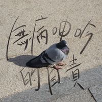 DUAN - 無病呻吟的自責