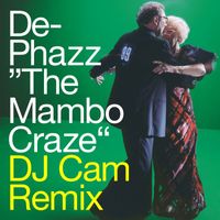 De-Phazz - The Mambo Craze (DJ Cam Remix)