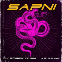 Dj Bobby Dubb - Sapni (Dubb Mix) [feat. As Amar]