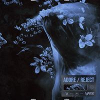 VELLE - Adore / Reject