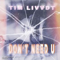 Tim Livvdt - Dont't Need U