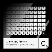 Andy Bach - Understand It (Forteba Remix)