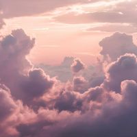 Shanel - Like Heaven