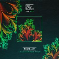 NICKO///// - A Curious Moment of Life