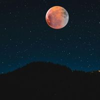 Fractal - Infinite Moonlight 2