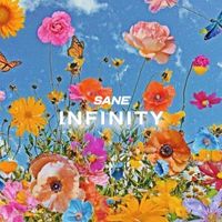 Sane - Infinity