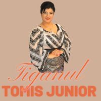 Tomis Junior - Tiganul