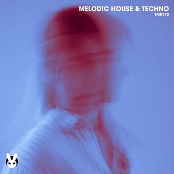Various Artists - Melodic House & Techno