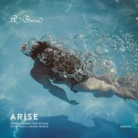 Arise - Flying Under The Ocean
