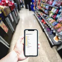 Fronda - Inköpslistan