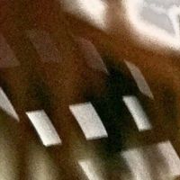 Laszlos Forest - Anima Mundus 4 Track Demos