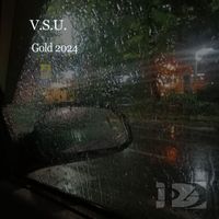 V.S.U. - Gold 2024