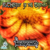 Kedarnath - Alchemist In The Orchard