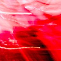 Laszlos Forest - Equilateral Damage