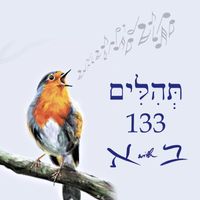 Andrew Case - Psalm תְּהִלִּים 133