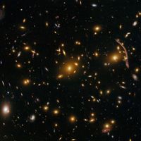 Melon Blush - Etherealistic