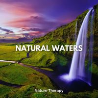 Nature Therapy - Natural Waters