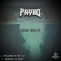 PRYZD - ENDLESS WAVES
