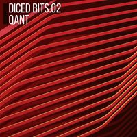Qant - Diced Bits 02