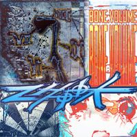 Zhook - bone.volume