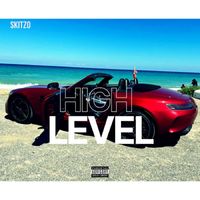 SKITZO - High Level (Explicit)