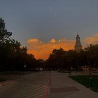 Valentine - Flows in Milan (Explicit)