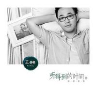 王铮亮 - 听得到的时间
