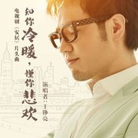 王铮亮 - 知你冷暖,懂你悲欢