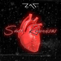 ZAS - Sans réponses