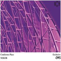 NEKOB - Coniferous Place