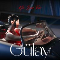 Gülay Sezer - Ne İşin Var