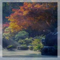 Zensimila - Calming Place