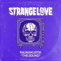 Raumakustik - The Sound