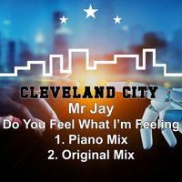 Mr Jay - Do You Feel What I'm Feeling