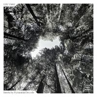 Pyramidal Decode - Isteria