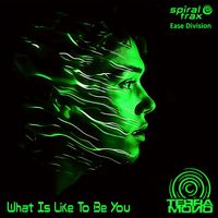 Terra Mono - What Is Like To Be You
