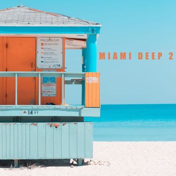 Various Artists - Miami Deep 2